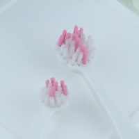 歯ブラシカラー：桃