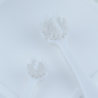 歯ブラシカラー：白