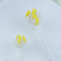 歯ブラシカラー：黄